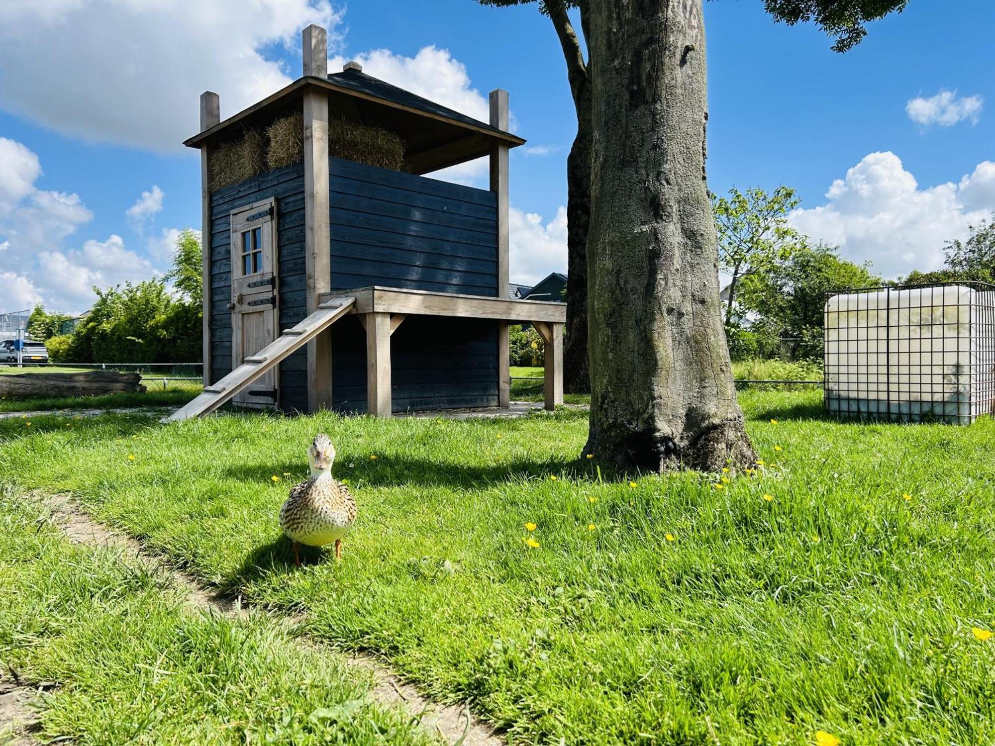 Bungalowpark De Horn - Floresta 215 Dirkshorn Εξωτερικό φωτογραφία